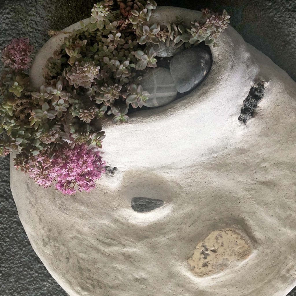 Bonkei vue de dessus