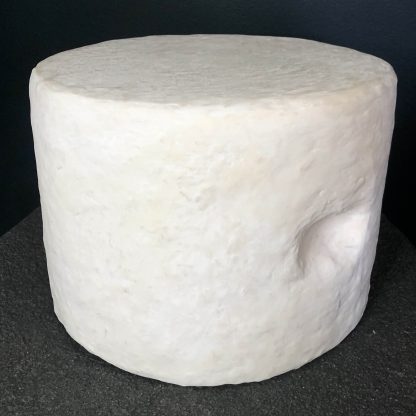 Pouf Mochi fond vert